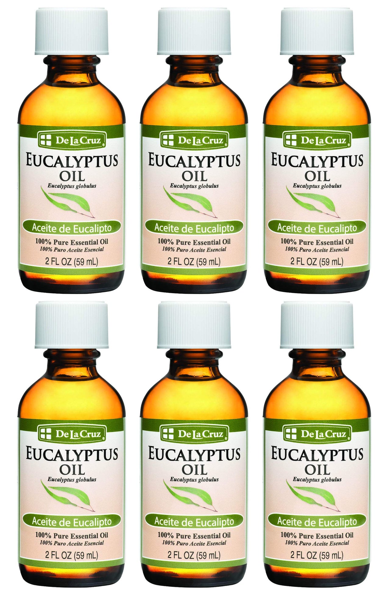 Eucalyptus Essential Oil Aromatherapy for Diffuser or Humidifier 100% Pure Steam Distilled Eucalyptus Globulus 2 FL OZ (6 Bottles)