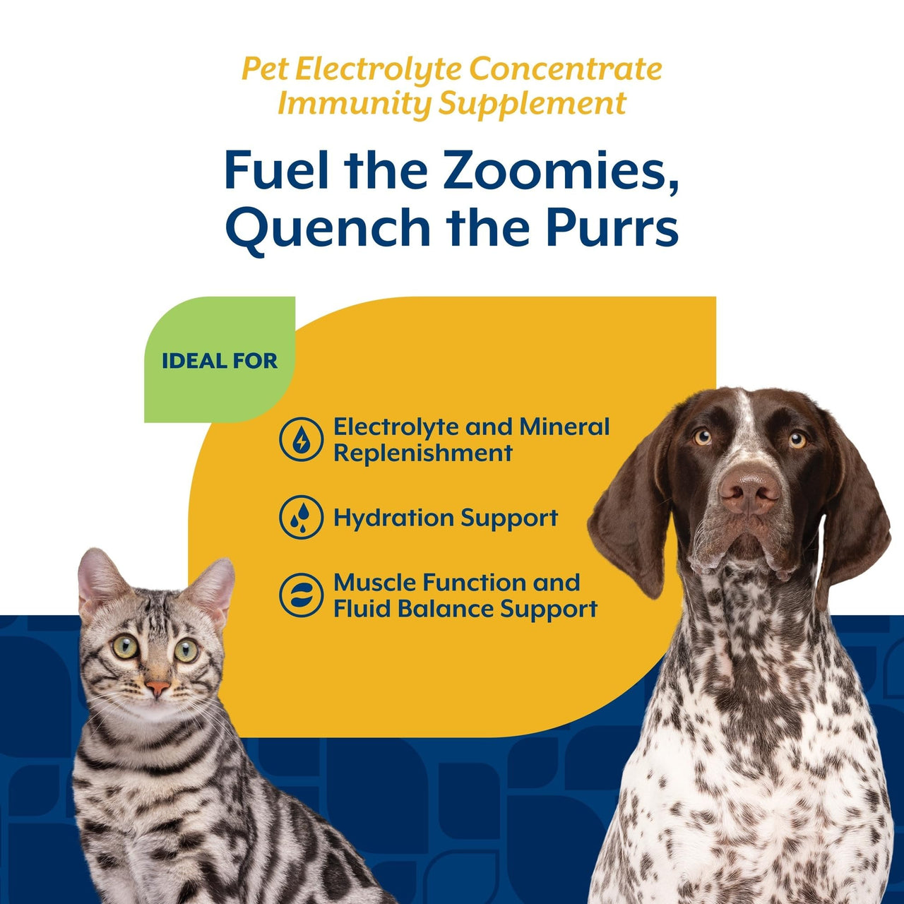 NaturVet Pet Electrolyte Concentrate for Dogs and Cats, 16 oz Liquid Concentrate, Made in The USA with Globally Source Ingredients