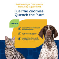 Thumbnail for NaturVet Pet Electrolyte Concentrate for Dogs and Cats, 16 oz Liquid Concentrate, Made in The USA with Globally Source Ingredients