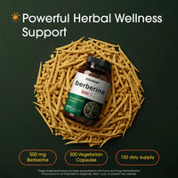 Thumbnail for NatureBell Berberine 500mg - 300 Capsules - 97% Pure Berberine HCl - 5:1 Root Extract of Berberis Aristata - Antioxidant, Alkaloid & Adaptogenic Support*