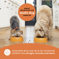 Thumbnail for Canidae All Life Stages Real Chicken & Potato Recipe – High Protein and Grain-Free Premium Dry Dog Food for All Ages, Breeds, and Sizes– 4 lbs.