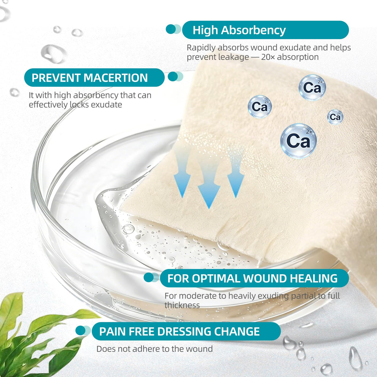 Dimora Calcium Alginate Wound Dressing, 4'' x 4'' Patches,10 Individual Sterile Pads, Soft and Highly Absorbent Dressing Gauze, Non-Stick Padding