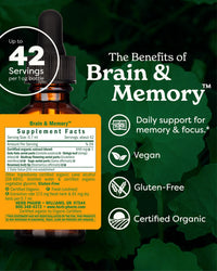 Thumbnail for Herb Pharm Organic Nootropic Brain & Memory Supplement with Ginkgo Biloba Liquid Extract: Fast Absorption for Mental Focus Support, Ginkgo Supplement, Vegan, Gluten-Free, Non-GMO, 1 Oz