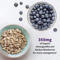 Thumbnail for Garden of Life Probiotics Mood+ Dr Formulated Acidophilus Probiotic Supplement - Promotes Emotional Well-Being, Relaxation and Digestive Balance - Ashwagandha for Stress Management, 60 Veggie Caps