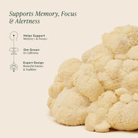 Thumbnail for Om Lionâ€™s Mane Mushroom Capsules - Organic Mushroom Supplement and Nootropic - Brain Supplements for Memory and Focus, 180 Count (60 Servings)