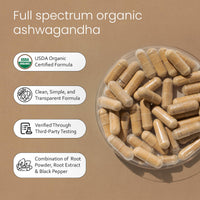Thumbnail for NaturaLife Labs Organic Ashwagandha 2100 mg per Serving – Herbal Supplement Root Powder & Extract – 100 Capsules – Vegan, Non-GMO, Gluten-Free