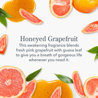 Thumbnail for Beekman 1802 Honey, I'm Home Honeyed Grapefruit Bodycare Gift Set - Set of 3 - Scented - Cleanses, Moisturizes & Hydrates - With Lactic Acid & Shea Butter - Good for Sensitive Skin - Cruelty Free