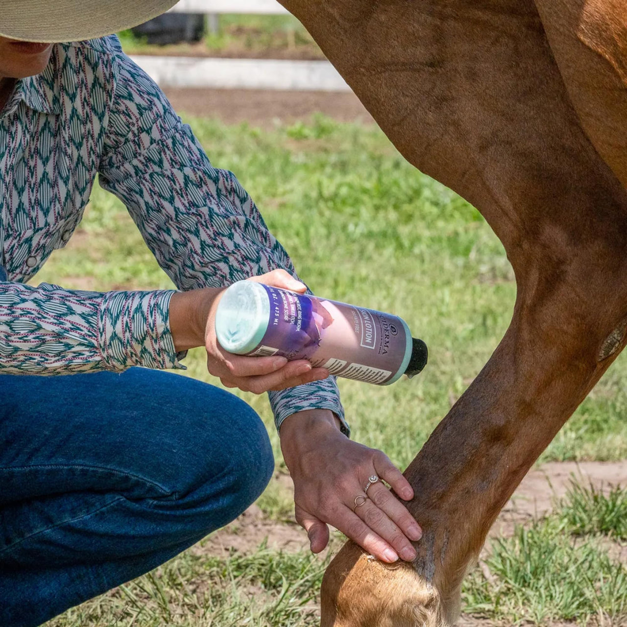 EQUIDERMA Horse Skin Lotion â€“ 16 oz | All-in-One Equine Skin Care for Cannon Bone Scurf, Mane & Tail Itching, Midline Irritation, Dry Patches & Coat Health Support