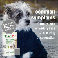 Thumbnail for HomeoPet Nose Relief, Safe and Natural Sinus Supplement for Cats, Dogs, and Other Small Animals, 15 Milliliters