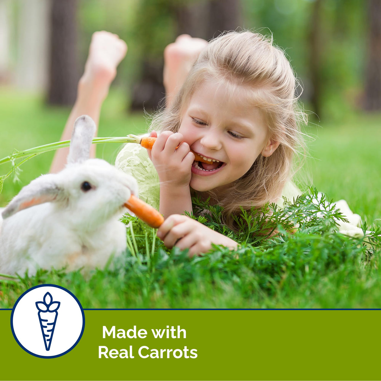 Vitakraft Slims Carrot Small Animal Treats – Light, Healthy Food Bites - Crispy Carrot Treats for Rabbits, Guinea Pigs, Hamsters & Chinchillas (10oz)