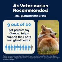 Thumbnail for Vetnique Glandex Anal Gland Soft Chew Treats with Pumpkin for Dogs Digestive Enzymes, Probiotics Fiber Supplement for Dogs Boot The Scoot (Peanut Butter Chews, 120 Count)