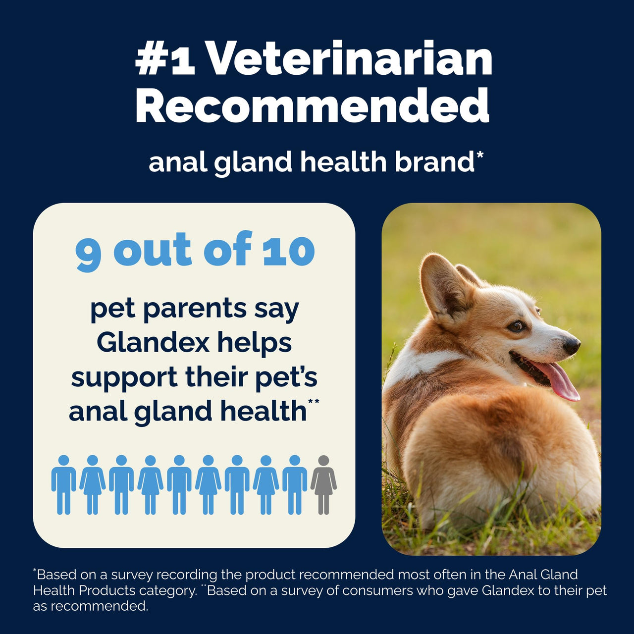 Vetnique Glandex Anal Gland Soft Chew Treats with Pumpkin for Dogs Digestive Enzymes, Probiotics Fiber Supplement for Dogs Boot The Scoot (Peanut Butter Chews, 60 Count)