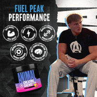 Thumbnail for Animal Creatine Chews Tablets - Enhanced Creatine Monohydrate with AstraGin to Improve Absorption, Sea Salt for Added Pumps, Delicious and Convenient Chewable Tablets - Fruit Punch