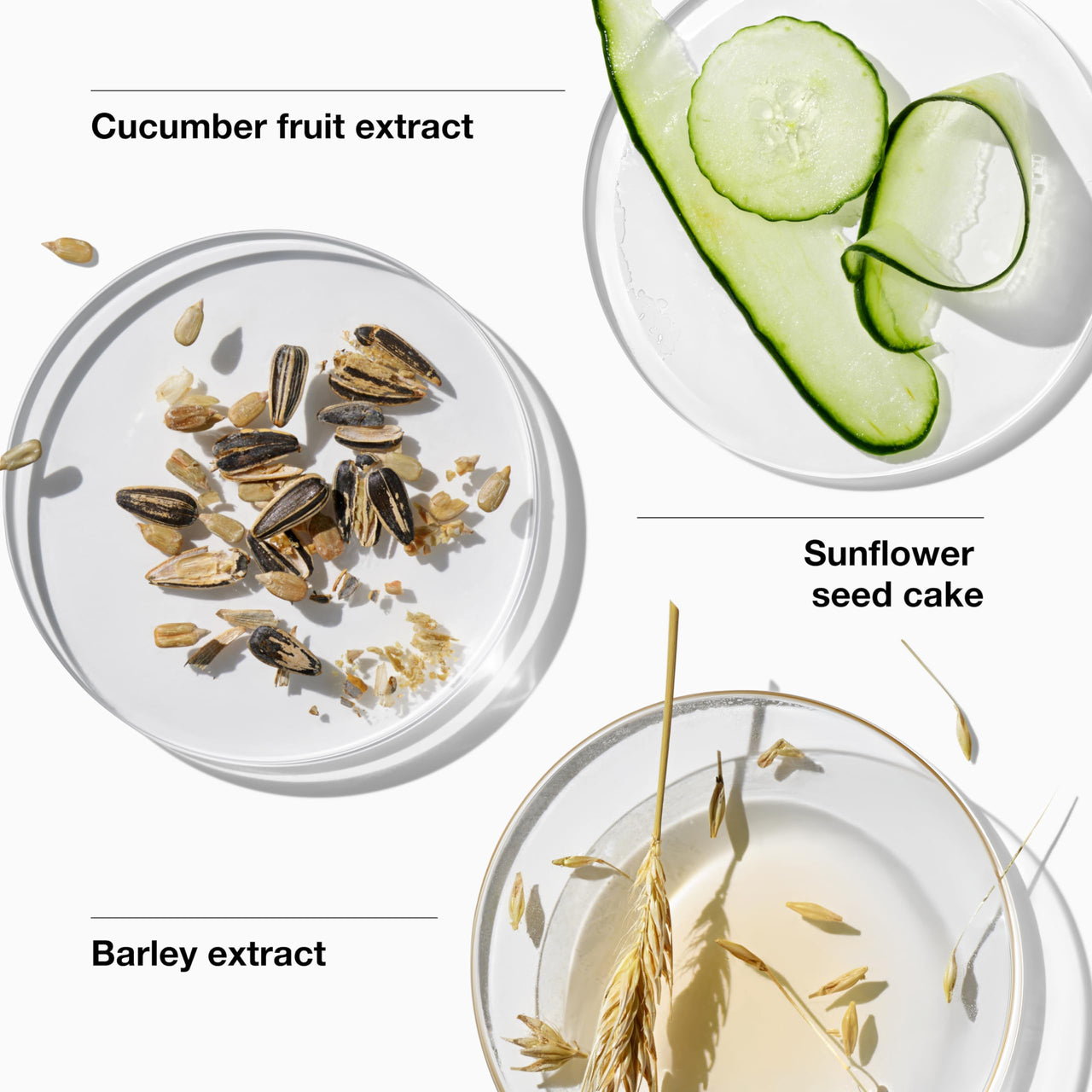 Clinique 3-Step Dramatically Different Moisturizing Gel | Oil-Free | Face Moisturizer for Combination Oily to Oily Skin Types, 4.2 Fl Oz