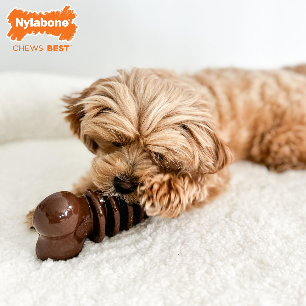 Nylabone Flexi Chill & Chew Toy for Dogs with Treat Pockets, Dog Toys for Moderate Chewers, Medley Flavor, Medium - Up to 35 lbs, 1 Count
