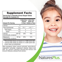 Thumbnail for NaturesPlus Animal Parade Sugar-Free Children's Calcium, Vanilla Sundae Flavor - 90 Chewable Animal Shaped Tablets, Pack of 2 - Magnesium for Bone Health - Gluten Free - 90 Servings
