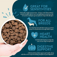 Thumbnail for Earthborn Holistic Venture Alaska Pollock Meal & Pumpkin 4 lb. Limited Ingredient Grain-Free Dry Dog Food