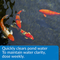 Thumbnail for API POND ACCU-CLEAR Pond Water Clarifier 32-Ounce Bottle
