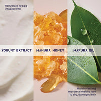 Thumbnail for SheaMoisture Hydrate & Repair Condtioner Manuka Honey and Yogurt Conditioner for Damaged Hair Shea Butter Conditioner 13 oz