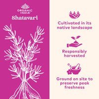 Thumbnail for ORGANIC INDIA Shatavari Herbal Supplement - Supports Hormonal Balance, Immune and Inflammatory Response, Vegan, Gluten-Free, USDA Organic, Supports Reproductive Health - 90 Capsules