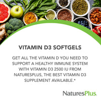 Thumbnail for NaturesPlus Vitamin D3 2500 IU - 90 Softgels - Bone Strength & Immune Support - 90 Servings