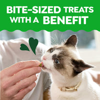 Thumbnail for Greenies Cat Treats, Feline Smartbites, Skin & Fur Health, Crunchy and Soft Cat Treats, Chicken Flavor, 2.1 oz. Pack