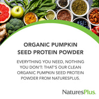 Thumbnail for NaturesPlus Organic Pumpkin Seed Protein Powder - 1.1 lb - Plant-Based Drink - Supports Muscle Strength & Recovery - Non-GMO, Allergen Free, Gluten Free, Vegan - No Added Sugar - 15 Servings