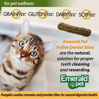 Thumbnail for Emerald Pet Feline Dental Stixx — Tasty and Crunchy Cat Sticks with Pumpkin for Digestive Health — Natural Grain Free Treats for Clean Cat Teeth and Fresh Breath — Catnip, 3.6 oz