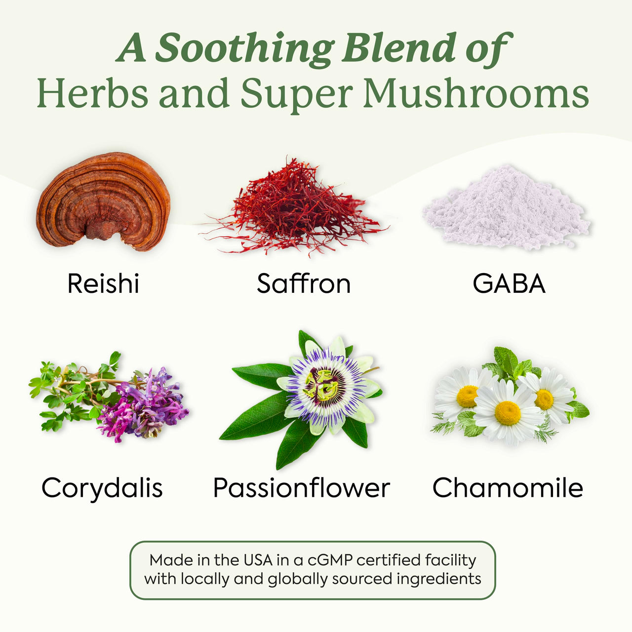 Plant People WonderSleep Mushroom Gummies Supplement for Sleep and Relaxation with Reishi Super Mushrooms, Wild Elderberry Flavor, No Sugar (60 Count)