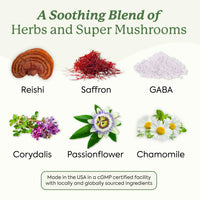 Thumbnail for Plant People WonderSleep Mushroom Gummies Supplement for Sleep and Relaxation with Reishi Super Mushrooms, Wild Elderberry Flavor, No Sugar (60 Count)