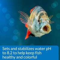 Thumbnail for API PROPER pH 8.2 Freshwater Aquarium Water pH Stabilizer 7.4-Ounce Container