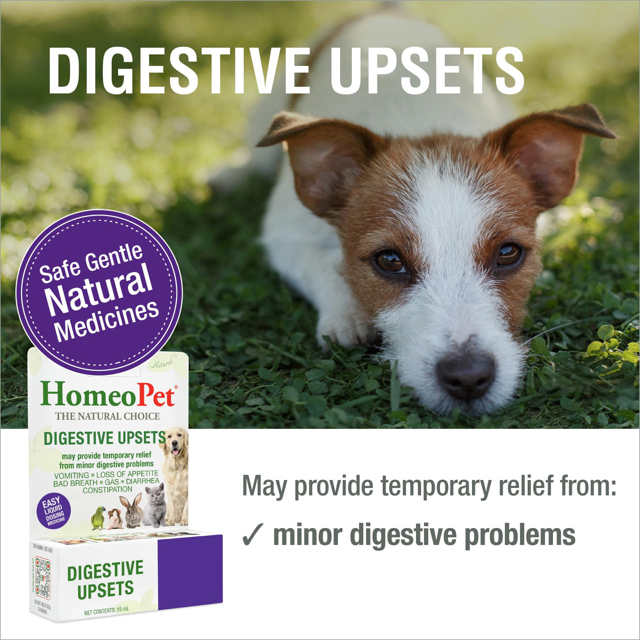 HomeoPet Digestive Upsets, Safe, Gentle, and Natural Cat and Dog Digestive Support, 15 Milliliters