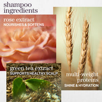 Thumbnail for Pureology Hydrate Shampoo & Conditioner Set - For Dry or Color-Treated Hair, Intense Hydration & Softness, With Rose Extract & Green Tea, Vegan & Sulfate-Free, 9 Fl Oz