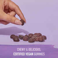 Thumbnail for Garden of Life Organics Elderberry Gummies for Adults & Kids - Immune Support Supplement with Organic Fruit, Herbal Blend, Elderberry, Echinacea, Zinc, Vitamin C, 120 Vegan Gluten Free Gummies
