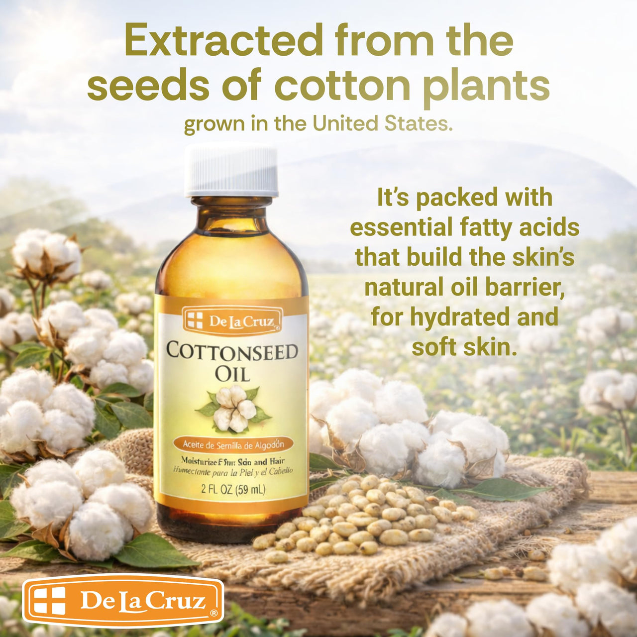 De La Cruz Cottonseed Oil - Moisturizer for Skin and Hair - Multipurpose Carrier Oil - 2 Fl OZ (1 Bottle)