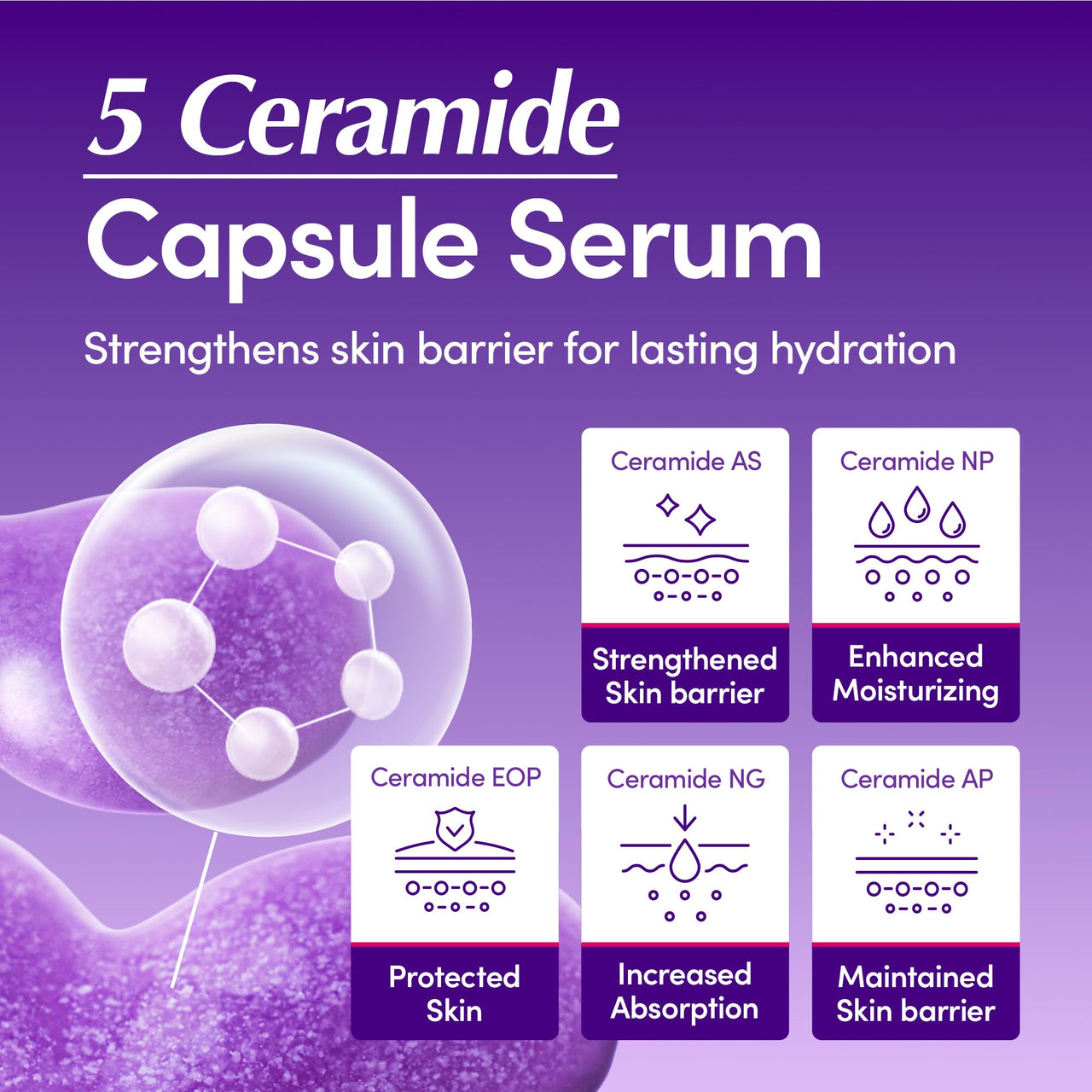 EQQUALBERRY Bakuchiol Plumping Serum â€“ Pore and Wrinkle Minimizer | Retinol Alternative for Sensitive Skin | Enhances Firmness and Elasticity with Ceramide, 1.01oz / 30ml