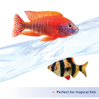 Thumbnail for Aqueon Nutrinsect Fish-Free Fish Food, Tropical Pellets, 1.76 oz
