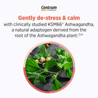 Thumbnail for Centrum Clear Mind and Calm Mood Menopause Support Tablets, with Clinically Studied enXtra, 30 Count