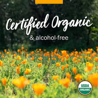 Thumbnail for Herb Pharm Certified Organic Angelica Root Liquid Extract for Digestive Support, 1 Fl Oz