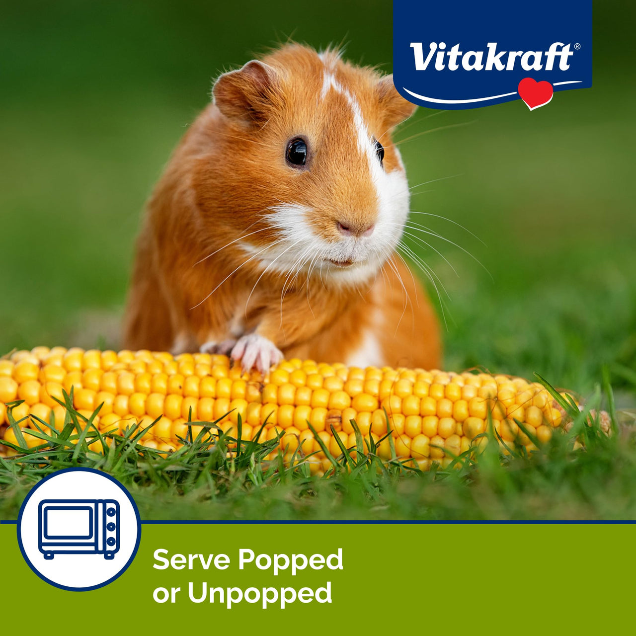 Vitakraft Mini-Pop Treat for Small Animals 6 oz – All-Natural Single-Ingredient Snack - Serve Popped or Unpopped – Enrichment, Chewing, Fun, Natural Teeth Wear – Rabbit, Hamster, Gerbil, Guinea Pig