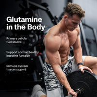 Thumbnail for MuscleTech Glutamine Powder | 100% Pure L Glutamine Powder | Post Workout Recovery Drink | L-Glutamine Powder for Men & Women | Muscle Recovery | Unflavored (60 Servings)
