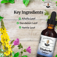Thumbnail for Christopher's Original Formulas Vitalerbs Extract, Nutrient-Rich Herbal Supplement, 2 oz