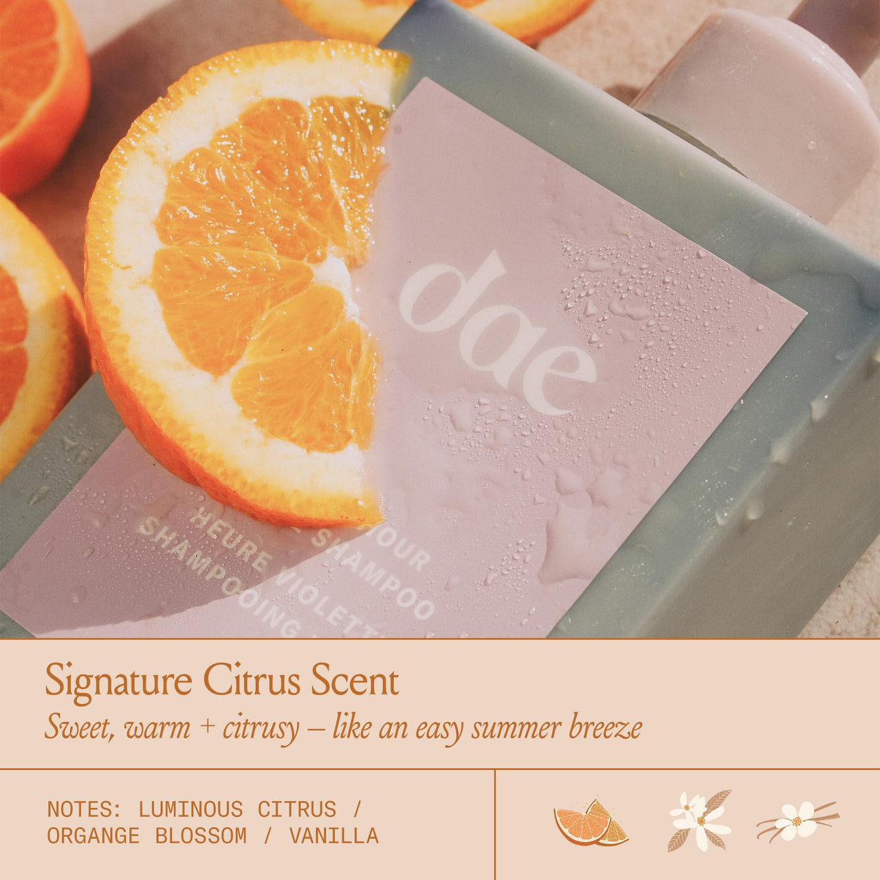 DAE Hair Violet Hour Purple Shampoo - Fights Brasiness, Enhances Color, & Repairs Damage (10 oz)