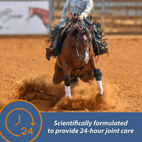 Thumbnail for Farnam MaxFlex XR Extended Release Joint Supplement for Horses, Provides a continuous supply of joint health ingredients for 24 hours, 0.9375 pound, 30 Day Supply