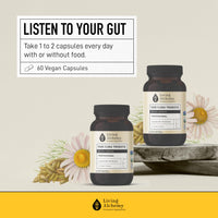 Thumbnail for Living Alchemy Gut Health Supplements for Men & Women - Your Flora Probiotic Professional Digestion Supplement with Fermented Soybean, Prebiotics, Digestive Enzyme - Vegan, Non-GMO, 60 Pcs