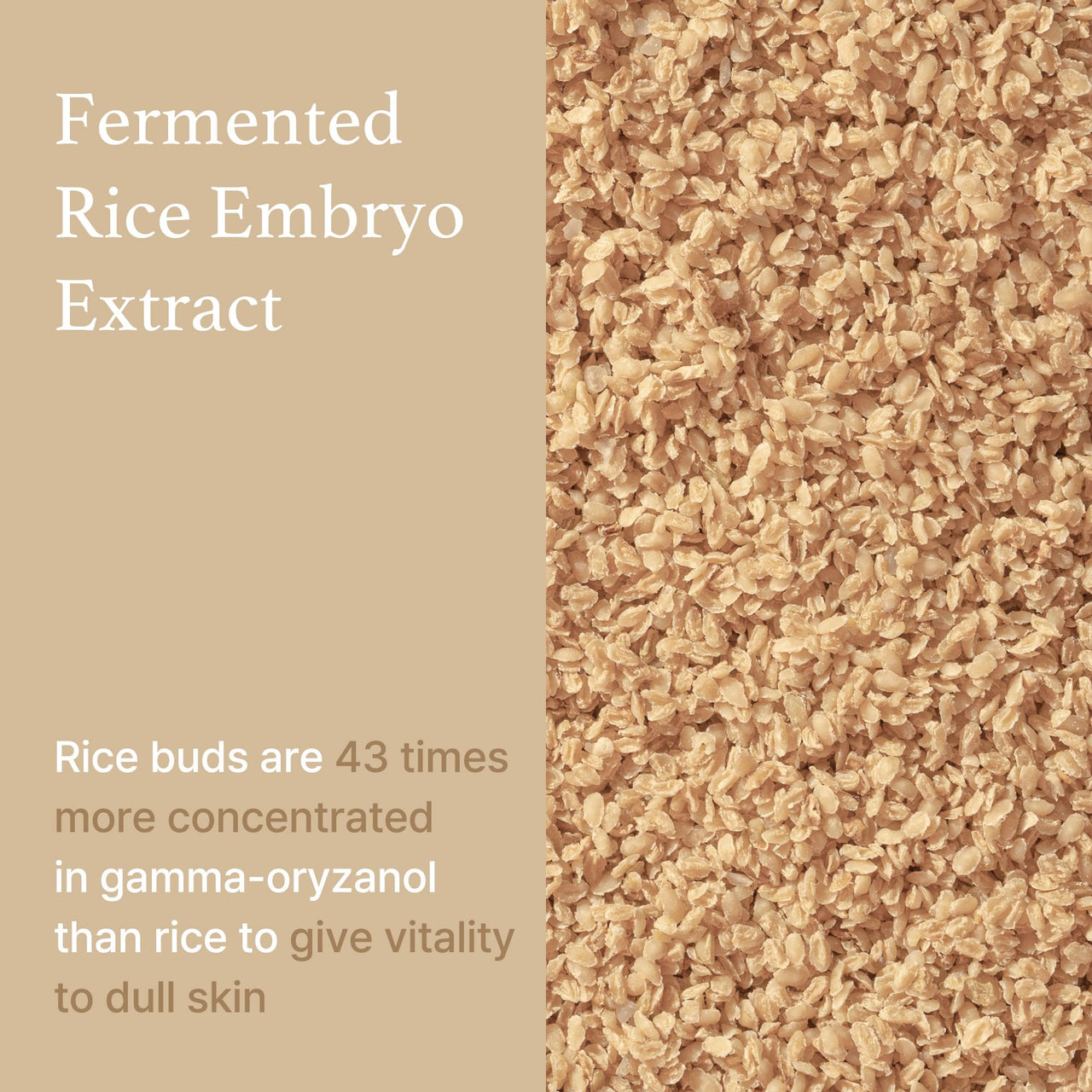 I'm from Rice Serum, Korean Fermented Rice Embryo Extract Boosts Collagen, Vitality, Radiant Glowing Skin, Niacinamide, Vitality to Dull Skin, Nourishing, Moisturizing