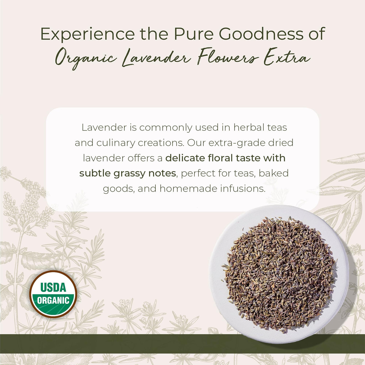 Starwest Botanicals Dried Lavender Flowers Extra Organic - Edible Loose Lavender Buds for Tea, Drinks, Baking, & Cooking, Certified Kosher Herb, Non-GMO - Bulk 1 lb Bag