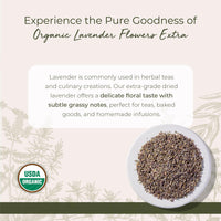 Thumbnail for Starwest Botanicals Dried Lavender Flowers Extra Organic - Edible Loose Lavender Buds for Tea, Drinks, Baking, & Cooking, Certified Kosher Herb, Non-GMO - Bulk 1 lb Bag