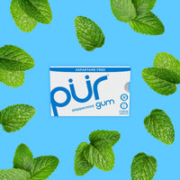 Thumbnail for PUR Gum | Aspartame Free Chewing Gum | 100% Xylitol | Natural Peppermint Flavored Gum, 9 Pieces (Pack of 12)