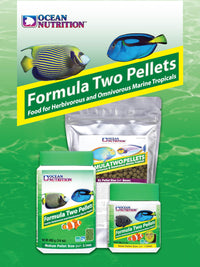 Thumbnail for Ocean Nutrition Formula Two Pellets - Fish Food for Herbivorous & Omnivorous Marine Tropical Fish, High Protein(40%) - 7 oz (200 g) Small Pellets